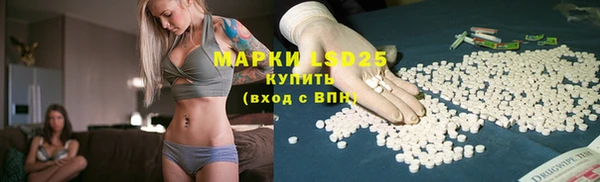 стафф Майский