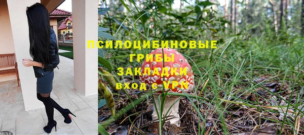 стафф Майский