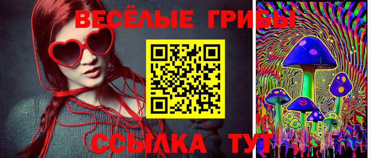 Псилоцибиновые грибы Psilocybe  сколько стоит  Каспийск 