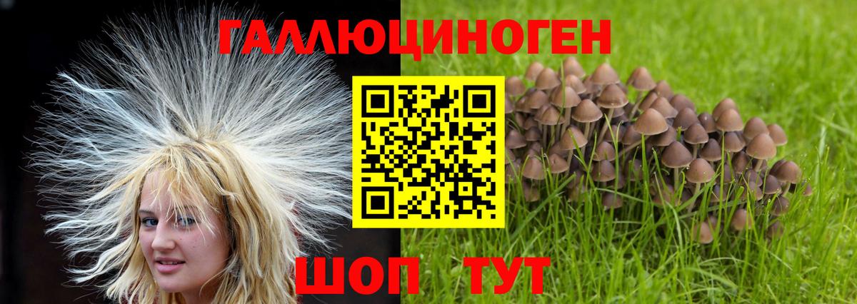 цена   Псилоцибиновые грибы Magic Shrooms  Вход с VPN  Каспийск 