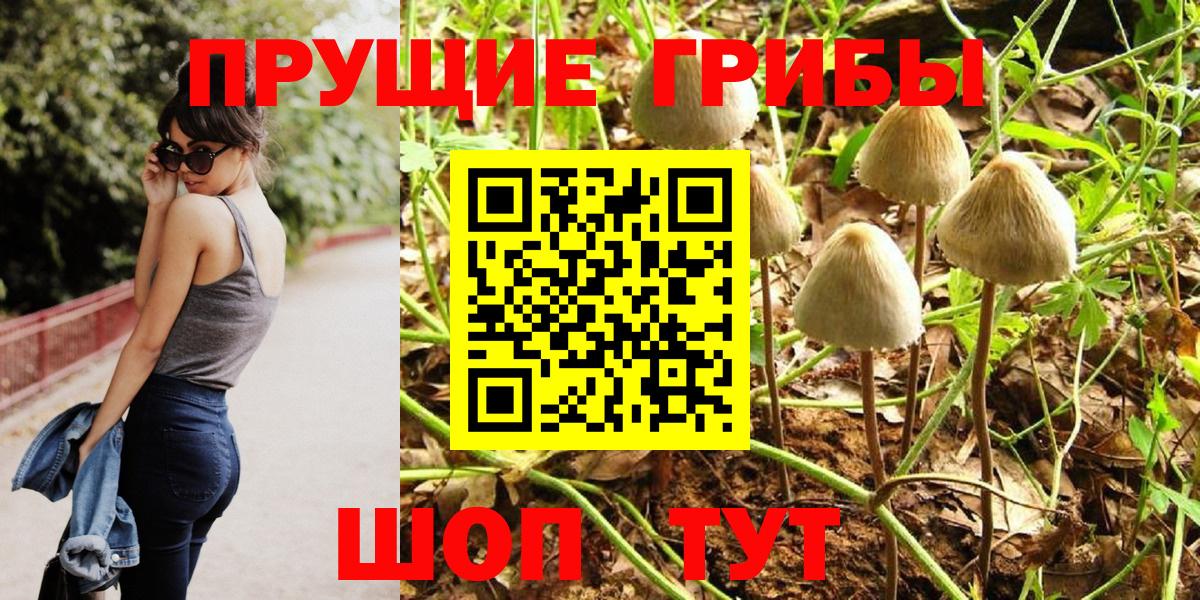 Псилоцибиновые грибы мухоморы Каспийск